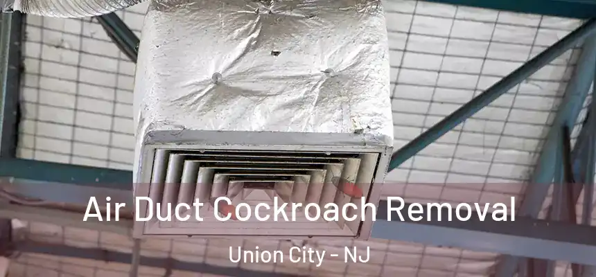  Air Duct Cockroach Removal Union City - NJ