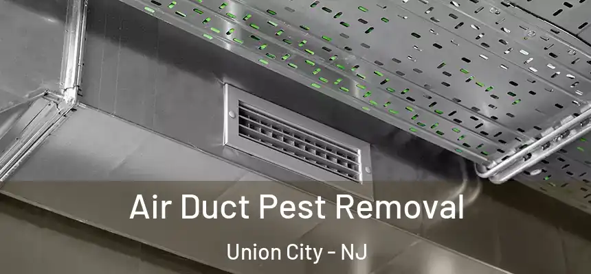 Air Duct Pest Removal Union City - NJ