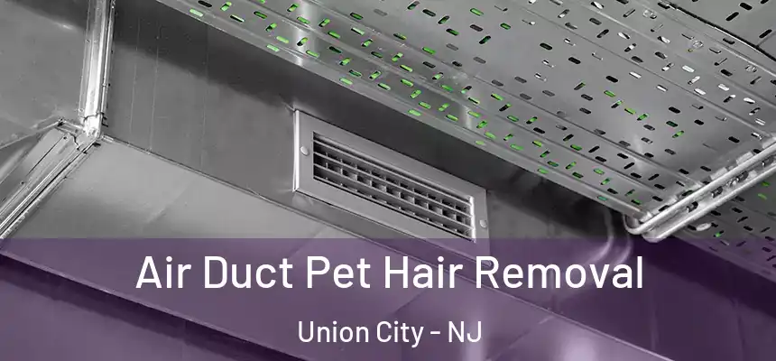  Air Duct Pet Hair Removal Union City - NJ