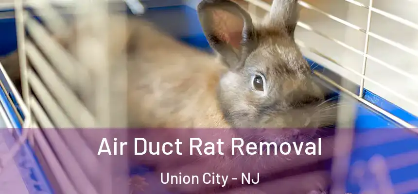  Air Duct Rat Removal Union City - NJ