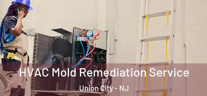  HVAC Mold Remediation Service Union City - NJ