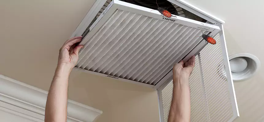 Preventive Cockroach-Proofing for Ducts in Union City