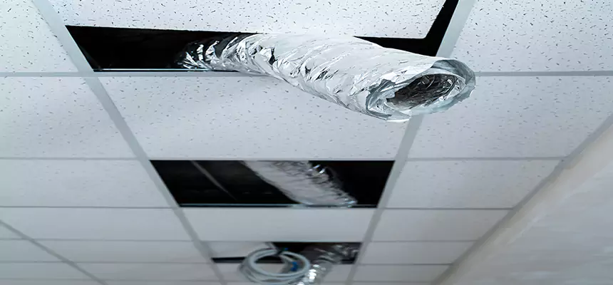 Our Air Duct Pet Hair Removal Services in Union City, NJ