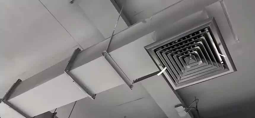 Our Rodent Droppings In Vents Services in Union City, NJ