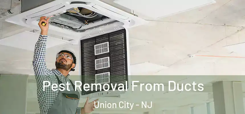  Pest Removal From Ducts Union City - NJ