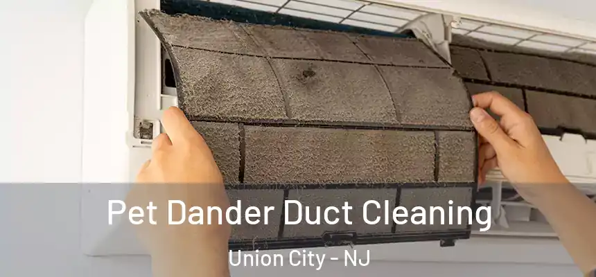  Pet Dander Duct Cleaning Union City - NJ