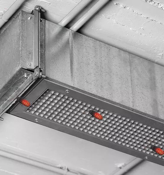 About Air Duct Cockroach Removal in Union City, NJ
