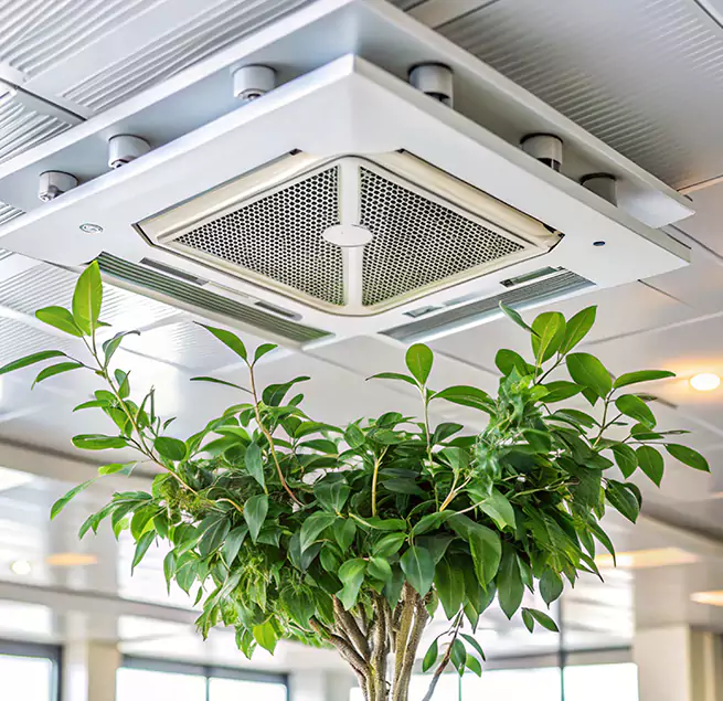 Why Homeowners & Businesses Trust Us in Union City, NJ