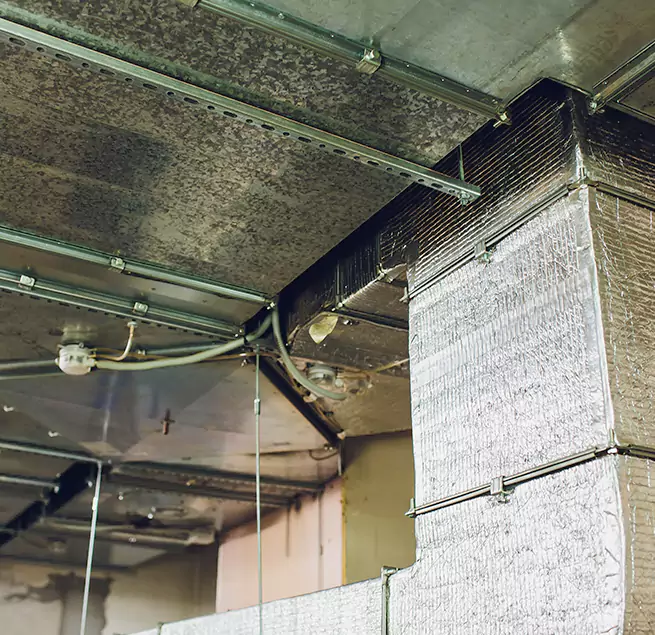 Why Homeowners & Businesses Trust Us in Union City, NJ?